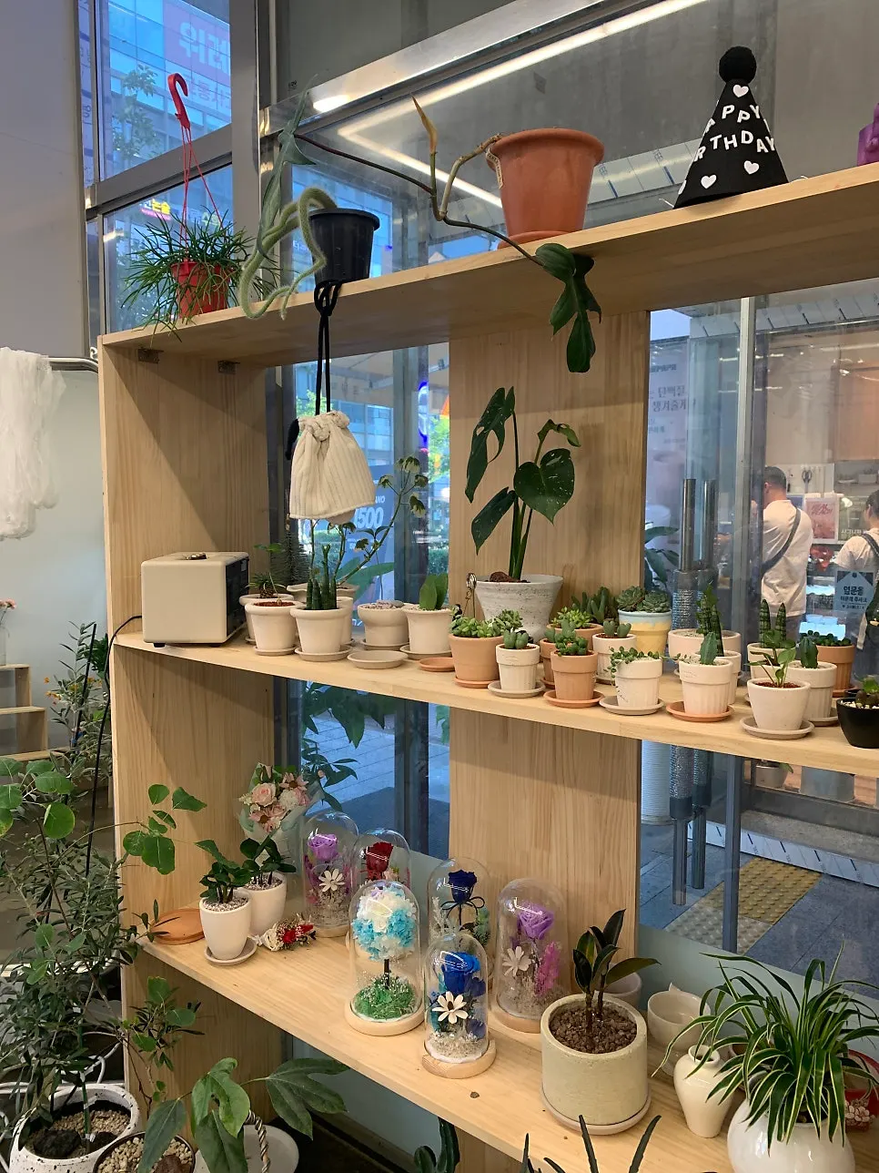 Inside Lara Flower, filled with fragrant flowers