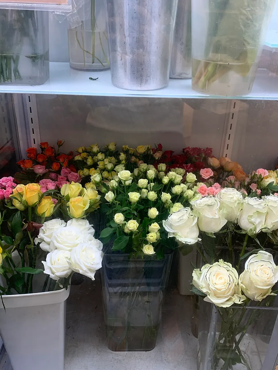 Herbs and potted plants placed in the shop