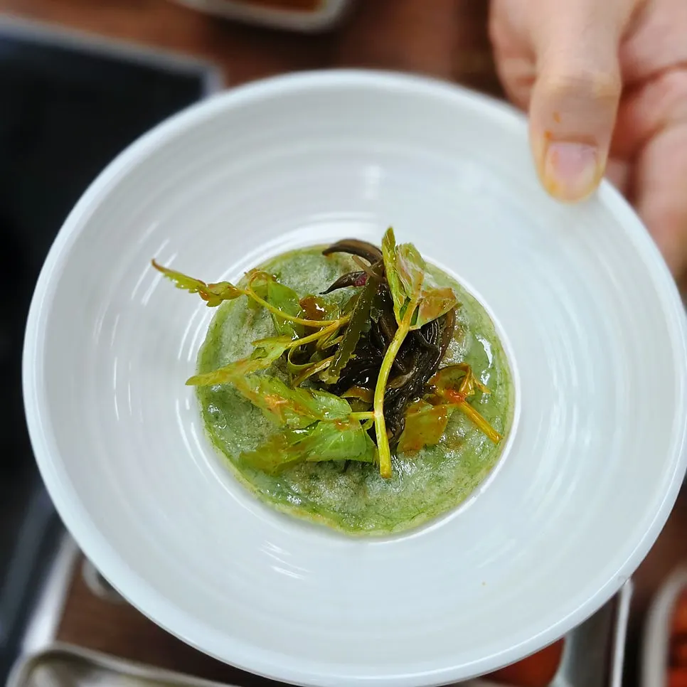 Minari seaweed salad with wakame, tot, and gposiraegi