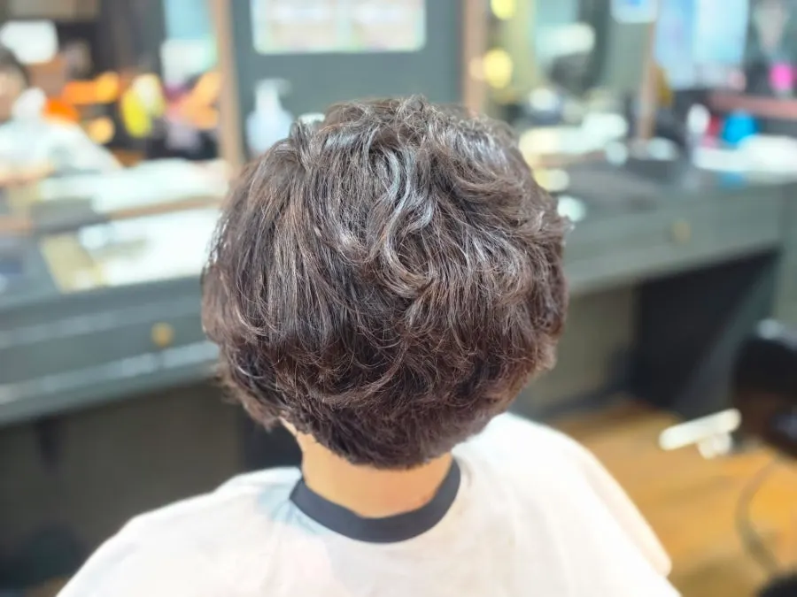 Gray hair covered by the ash khaki dye