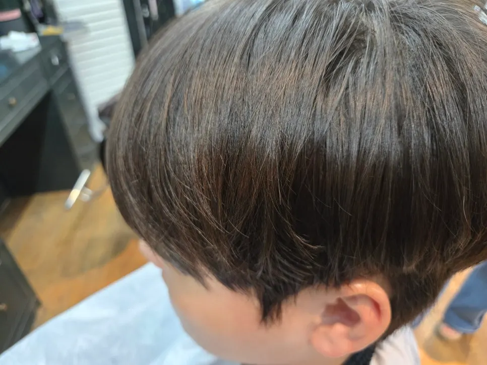Glossy hair after the treatment