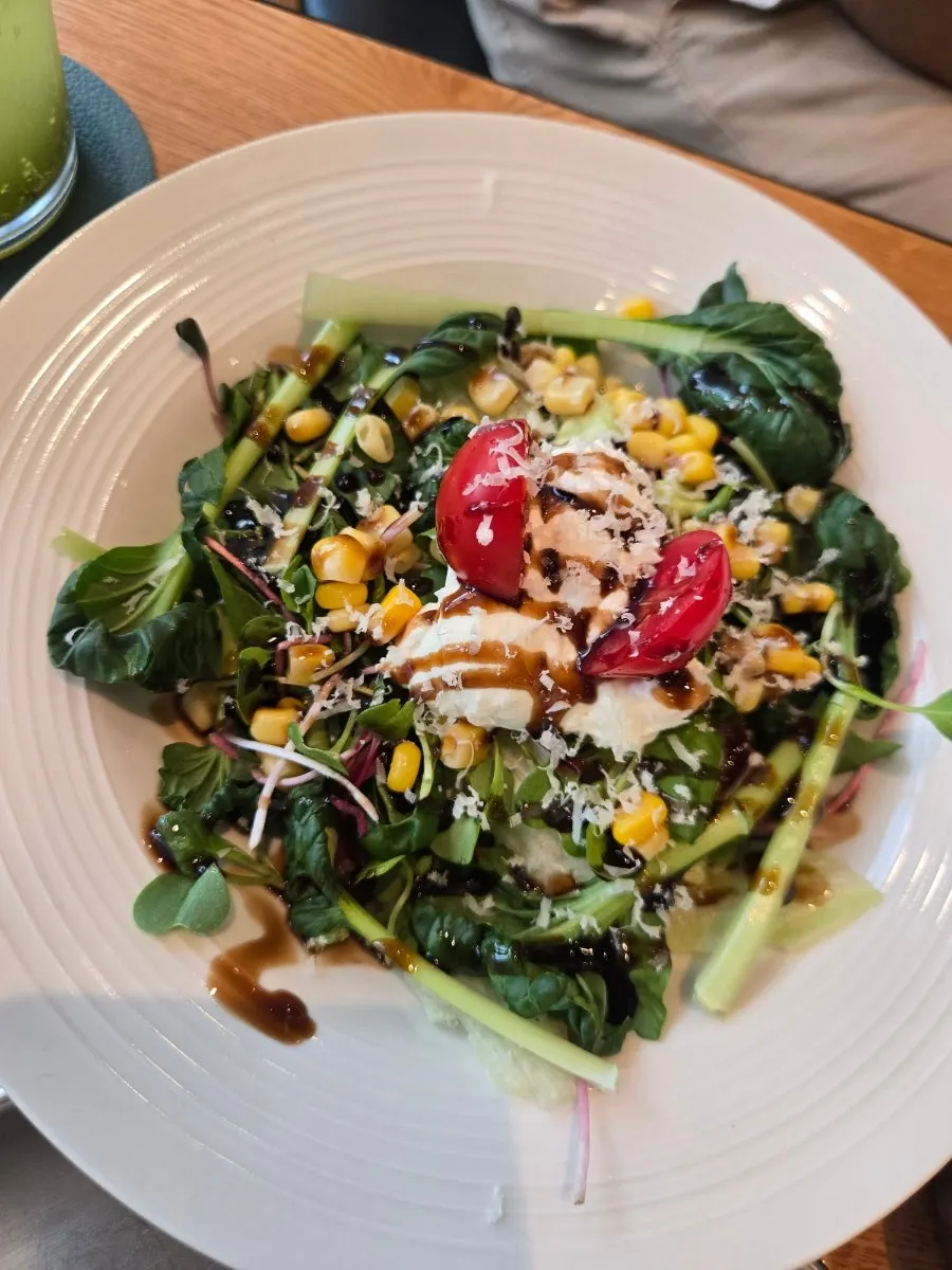 A plate of ricotta cheese house salad