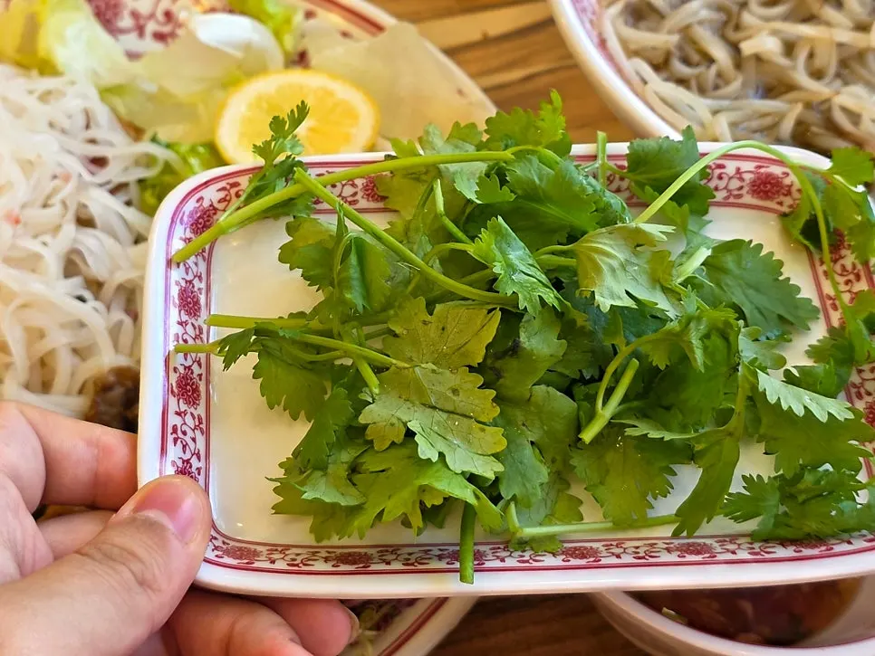 그릇에 담겨 나온 리필 면과 숙주