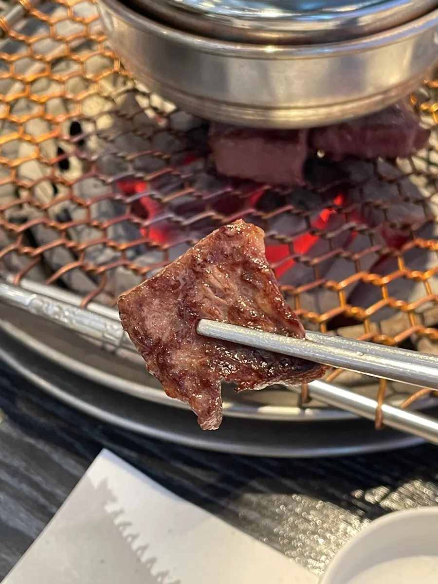A well-grilled piece of hanwoo flower ribeye