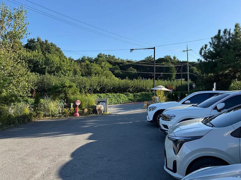 View of Parking Lot 1 in front of the café
