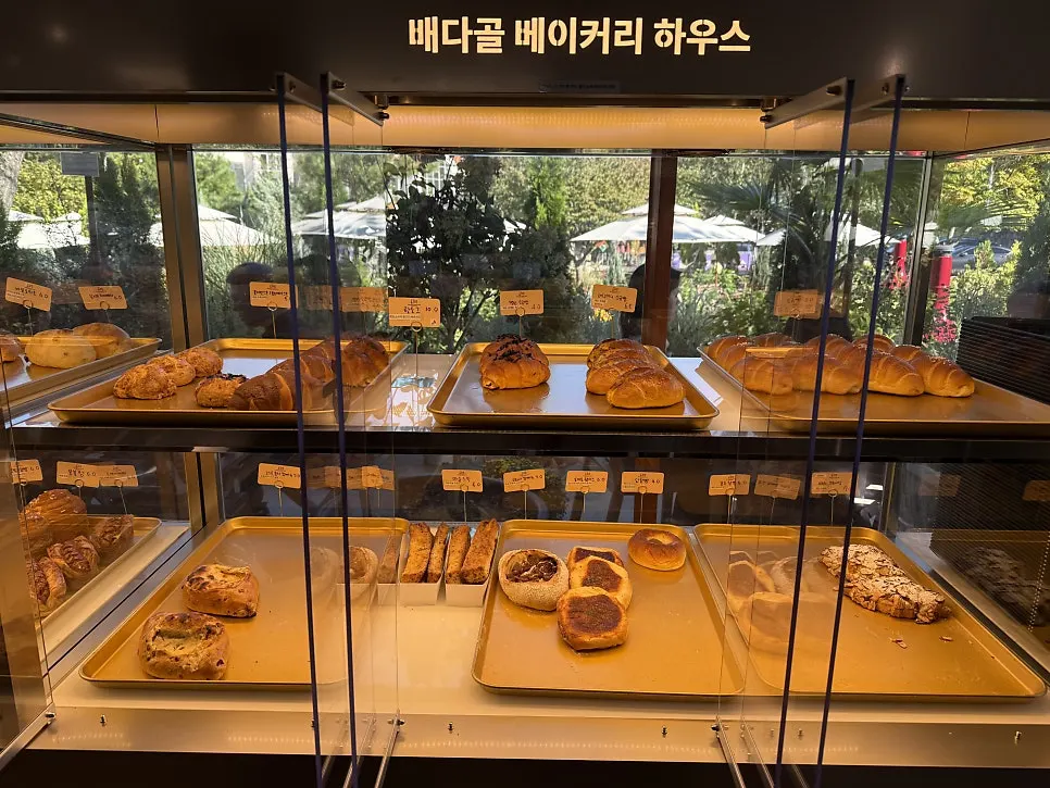 Display case with a variety of breads