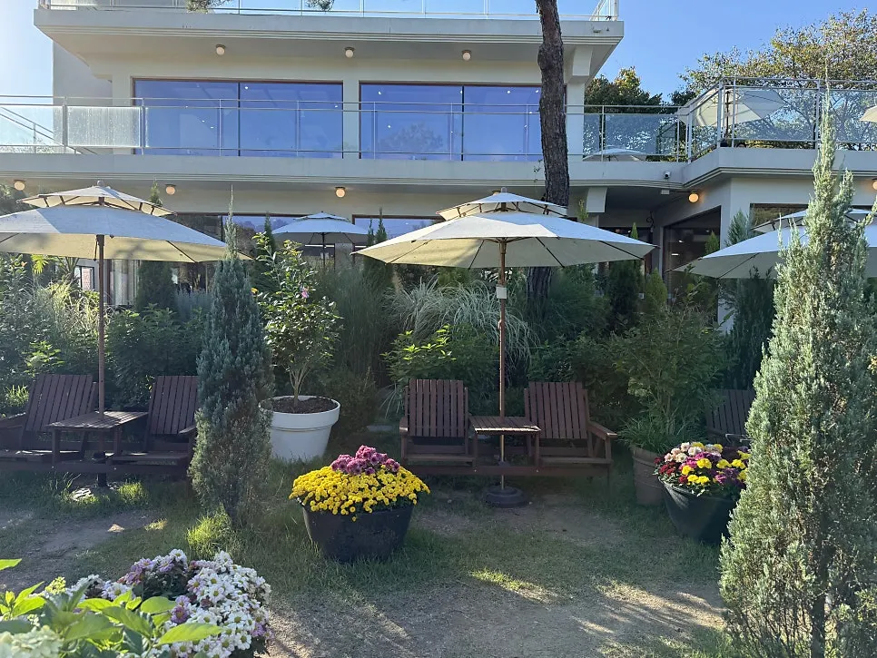 1st floor outdoor garden full of plants and trees
