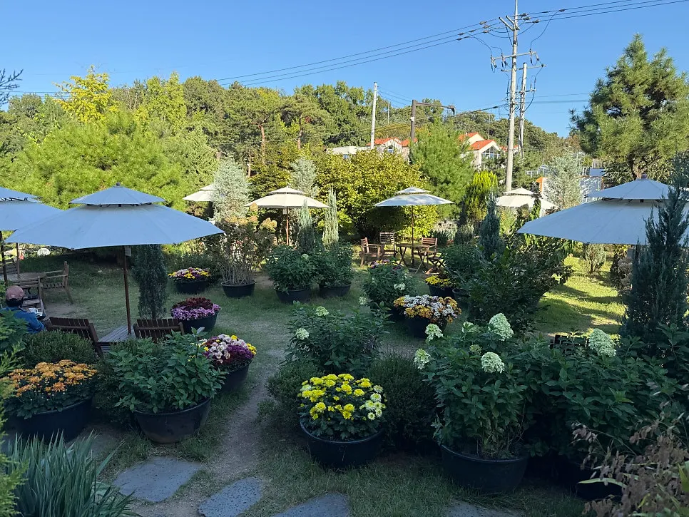 Outdoor tables set among the garden