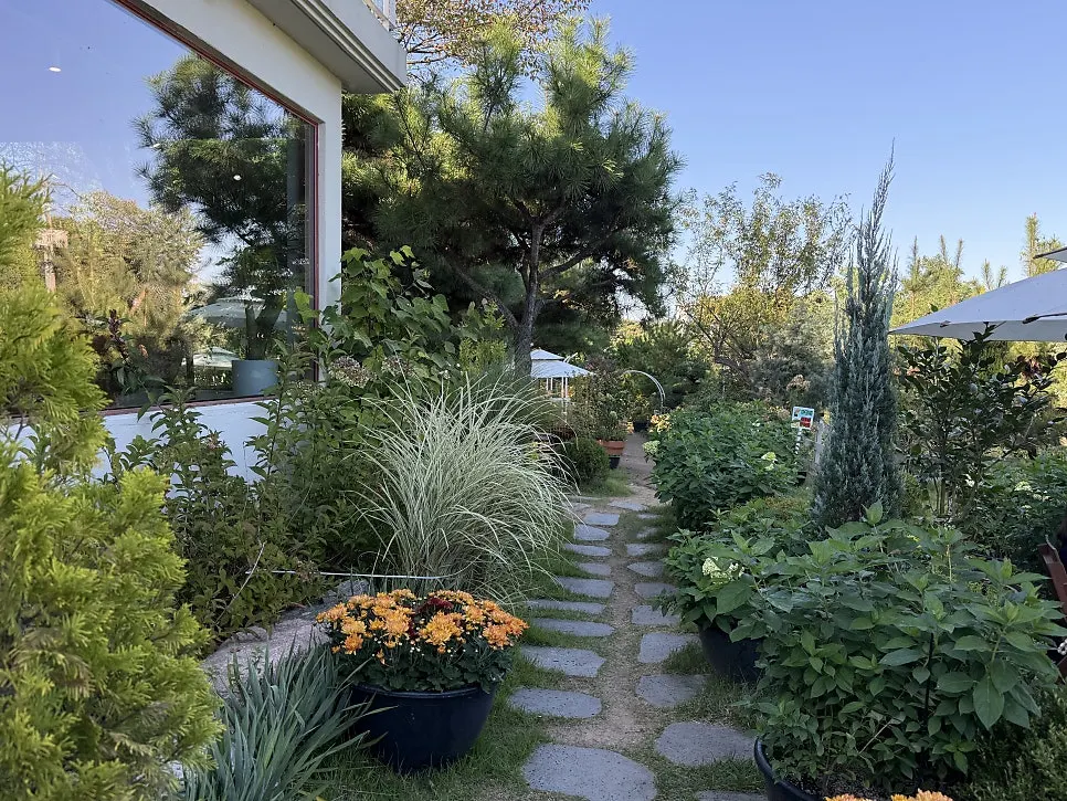 Photo spot with blooming flowers in the garden