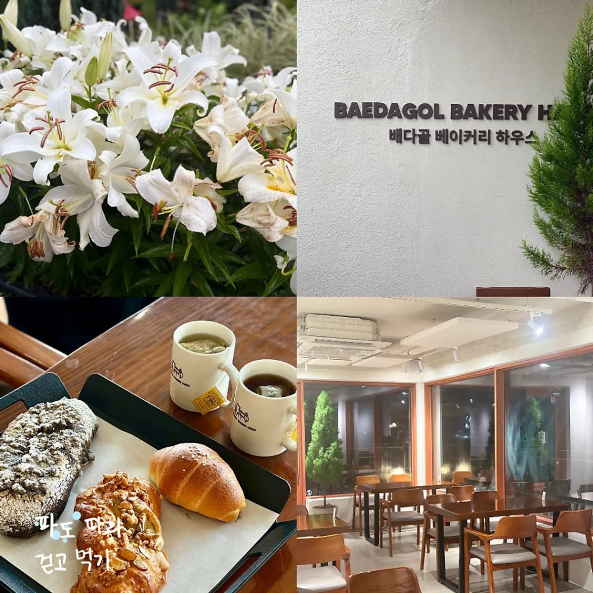 Main photo of Baedagol Bakery House in Wondang, Goyang