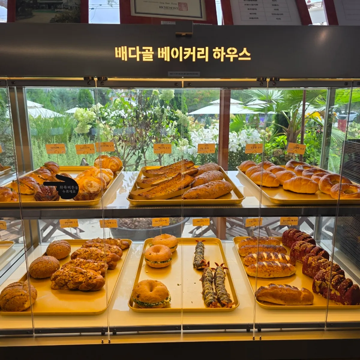쇼케이스에 진열된 케이크와 빵
