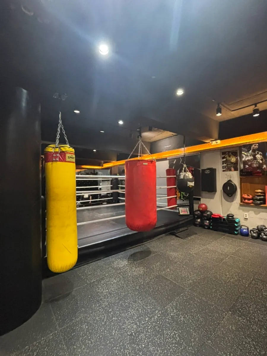 Overview of the workout space at Seongrok Boxing Gym