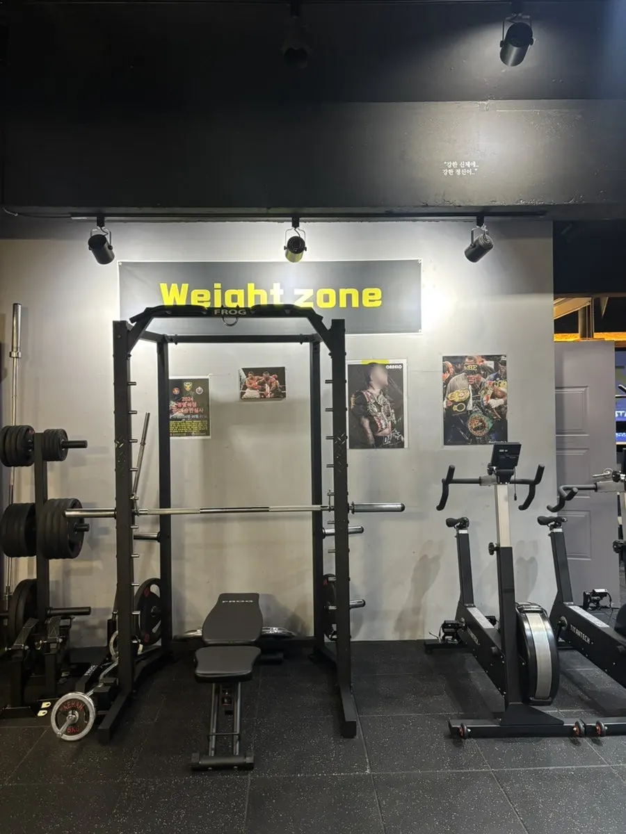 Boxing sandbags hung by weight