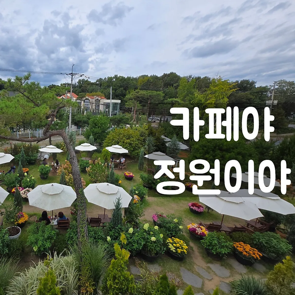 원당 배다골베이커리하우스 대표 이미지