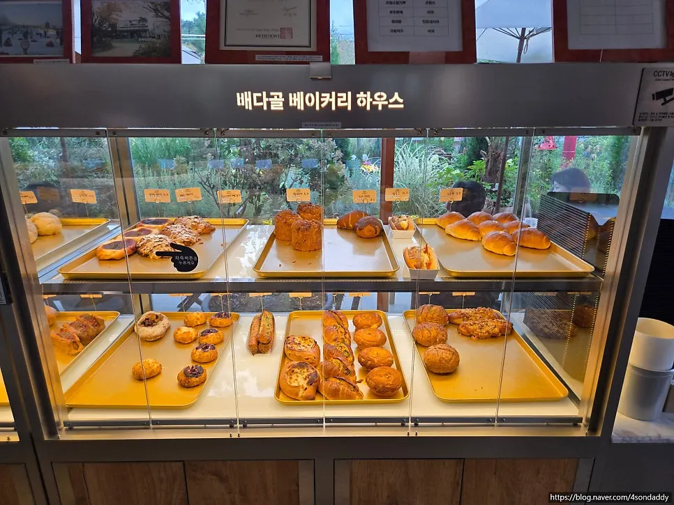 다양한 빵이 놓인 베이커리 진열대