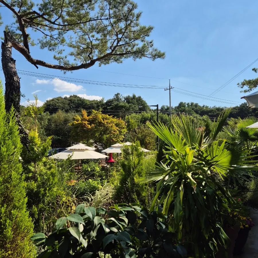 Final shot of the garden and Baedagol Bakery House storefront