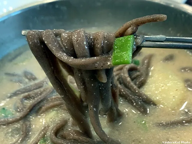 젓가락으로 들어올린 자가제면 메밀 면발