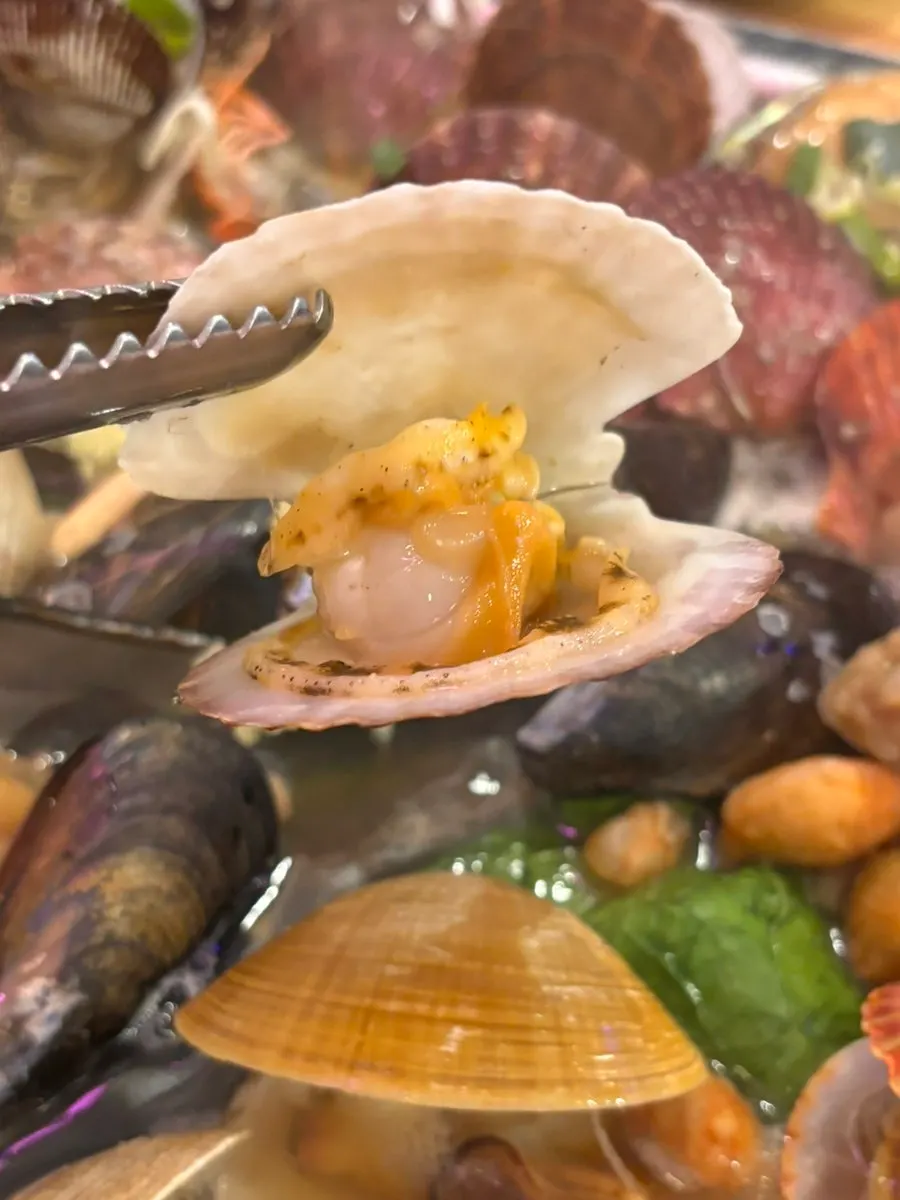 Clams and scallops opening up as they cook