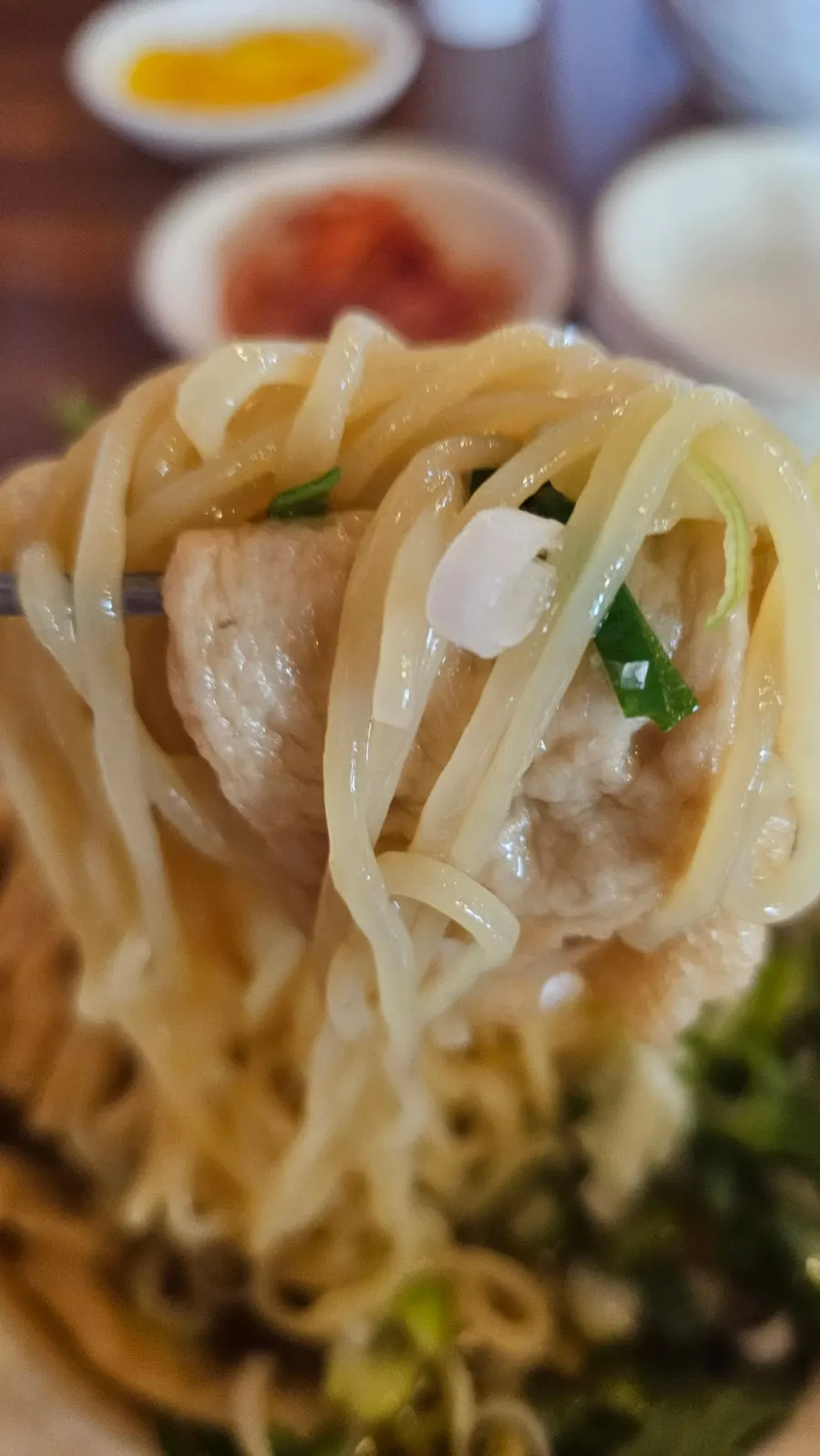 48-hour aged self-made udon noodles