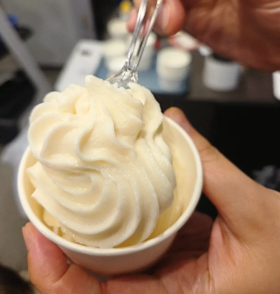 식사 마무리로 먹은 요거트 아이스크림