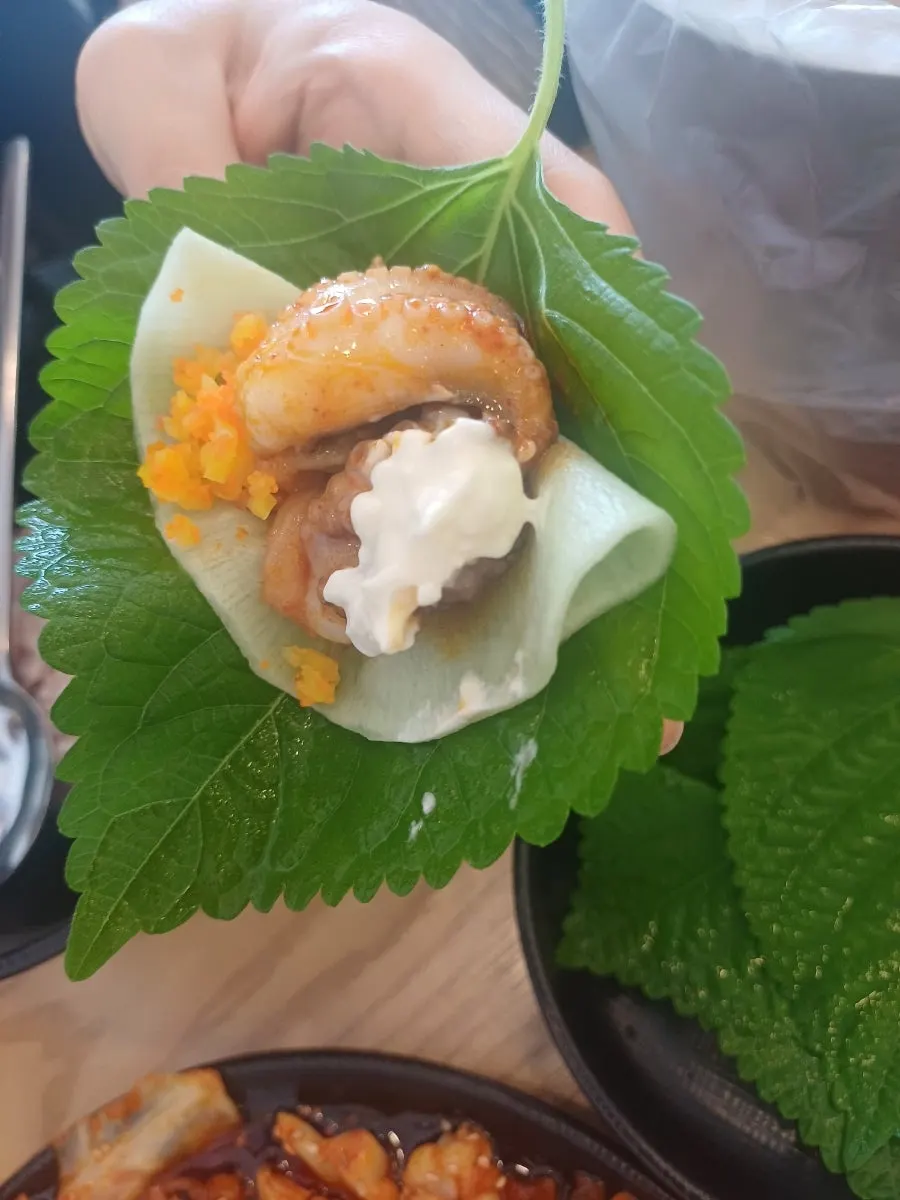 깻잎에 쌈 싸 먹는 쭈삼새