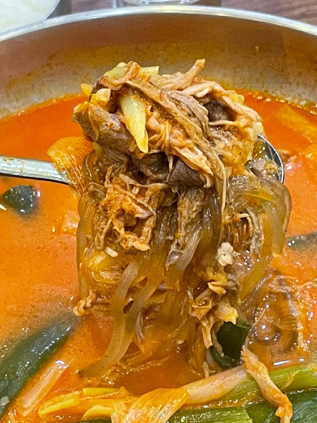 Yukgaejang with brisket and green onion