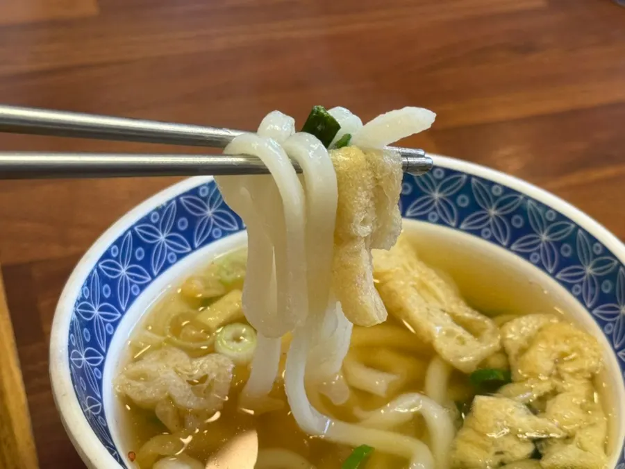 Udon served alongside donkatsu