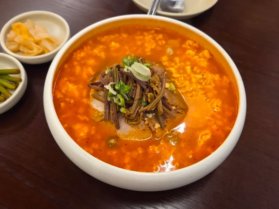 Chodang sundubu-guk topped with bracken fern and boiled pork