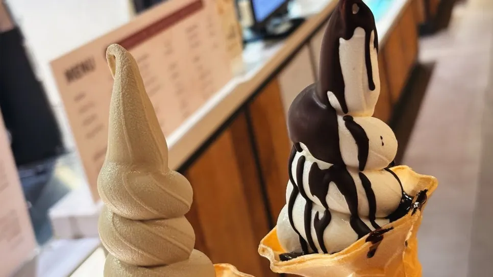 소프트 아이스크림 두 가지 맛 함께 든 모습