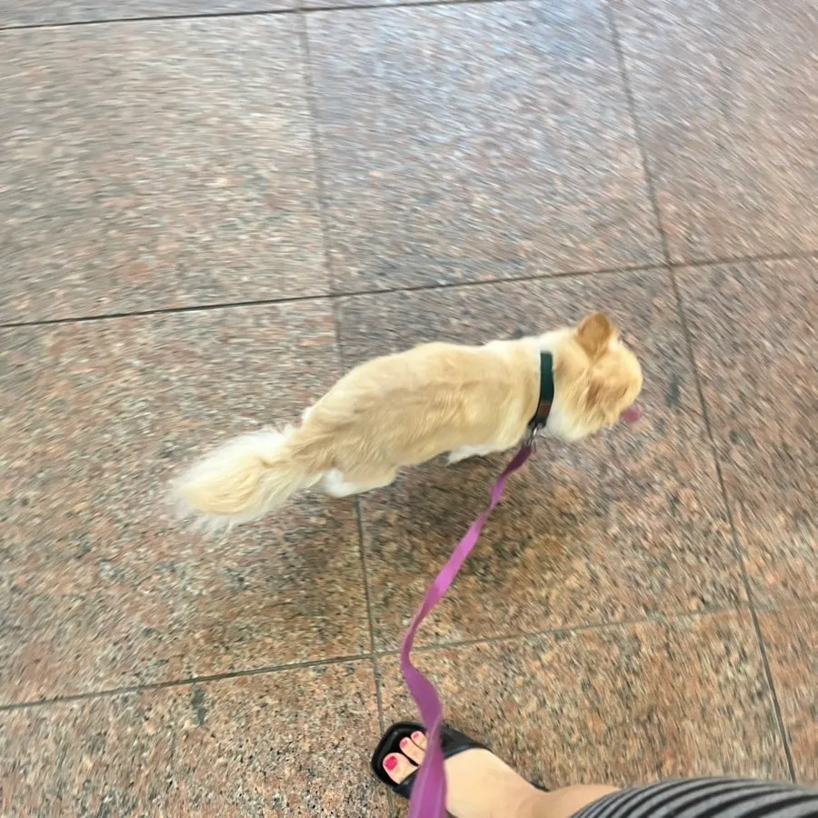 쇼핑 중 쉬어가기 좋은 카페 좌석