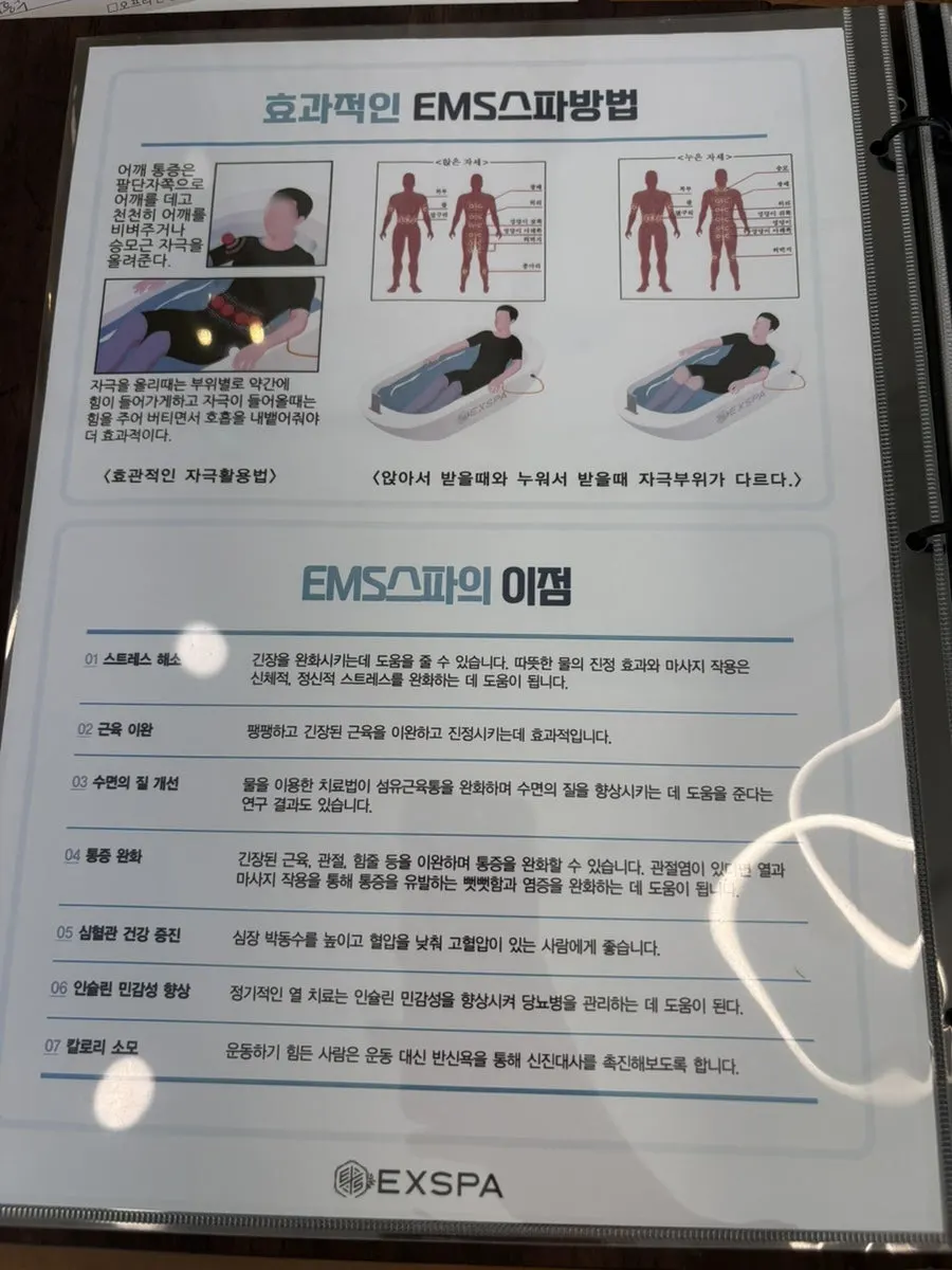 체지방 프로그램 진행 단계 설명
