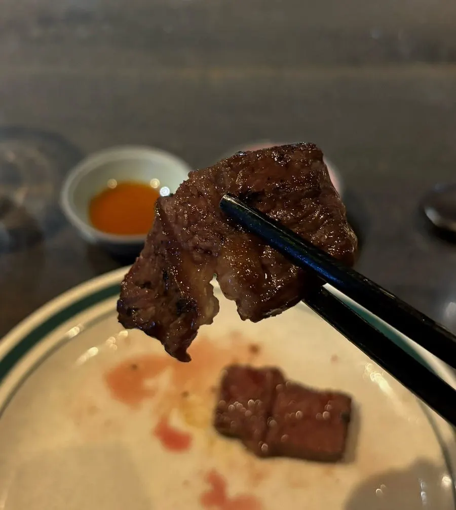 부채살 단면과 중간 힘줄