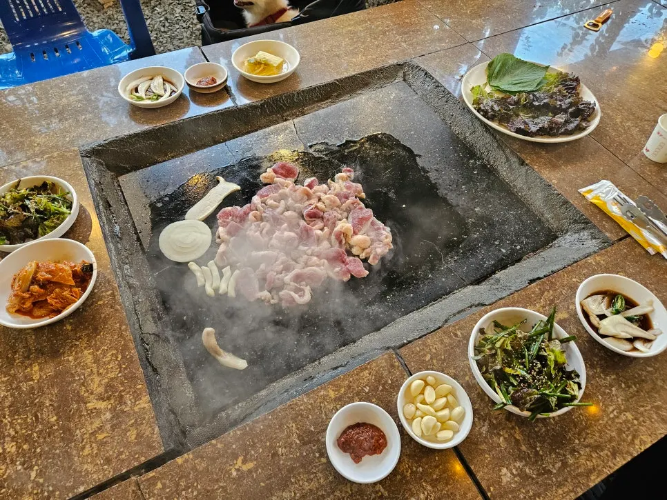 칠곡 약목 애견동반 맛집 장작불 돌판 오리 한마리, 약샘골가든