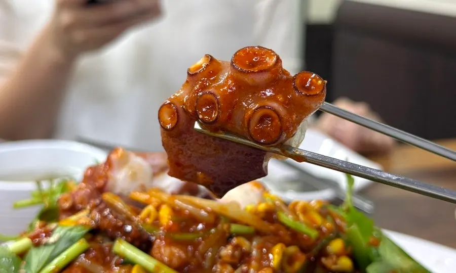 A large whole octopus leg included in the dish