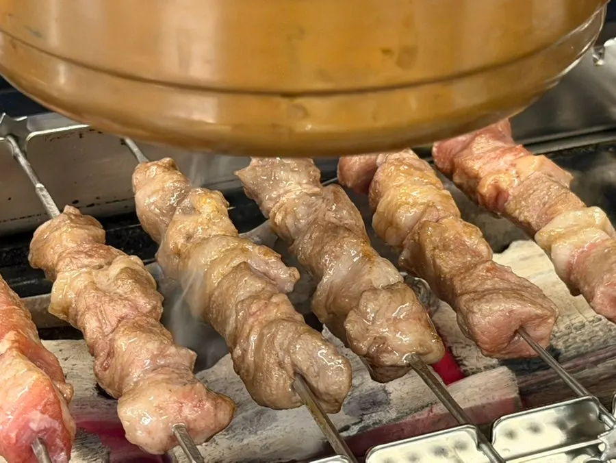 A fully cooked skewer picked up off the grill