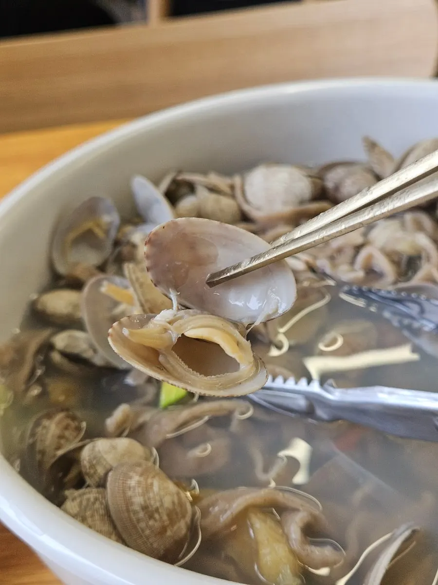 국물과 함께 먹는 메밀 칼국수 면
