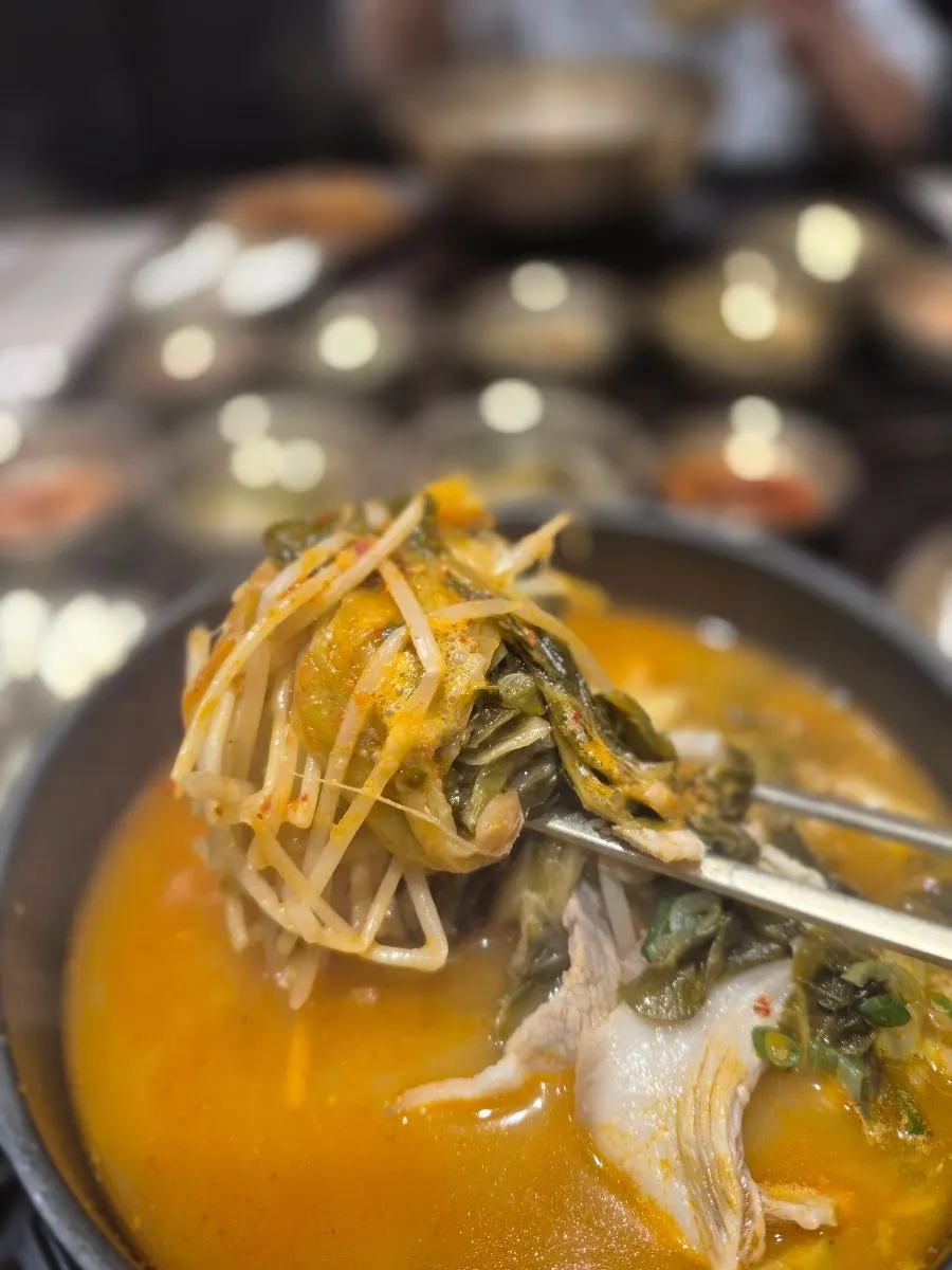Spicy gomtang with meat, bean sprouts, and green onion