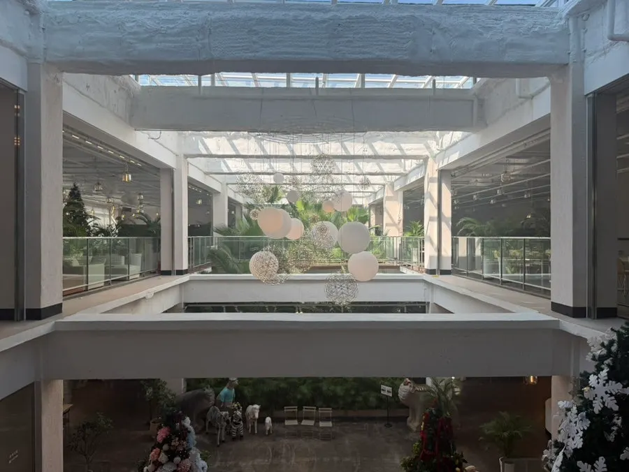 Doasis interior with high ceilings and palm trees
