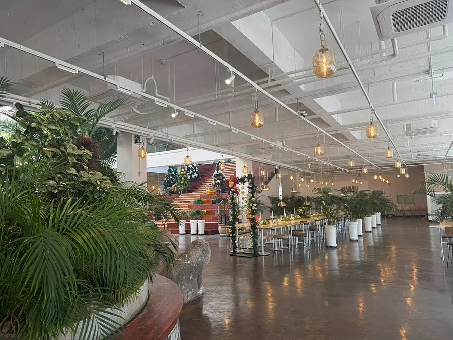 Palm trees brought from Jeju Island lining the center of the café