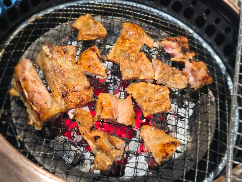 A grilled piece of galbi