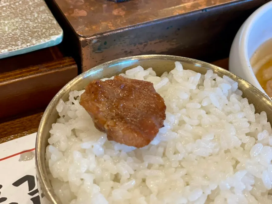 A piece of nicely cooked pork rib