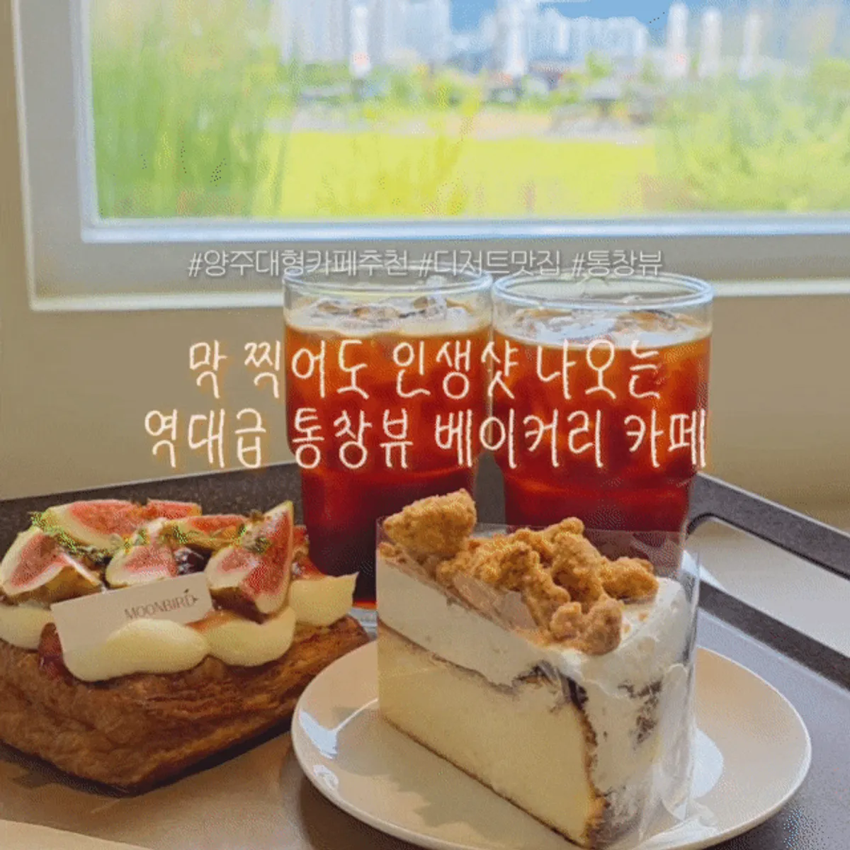 Moonbird's floor-to-ceiling windows and interior atmosphere