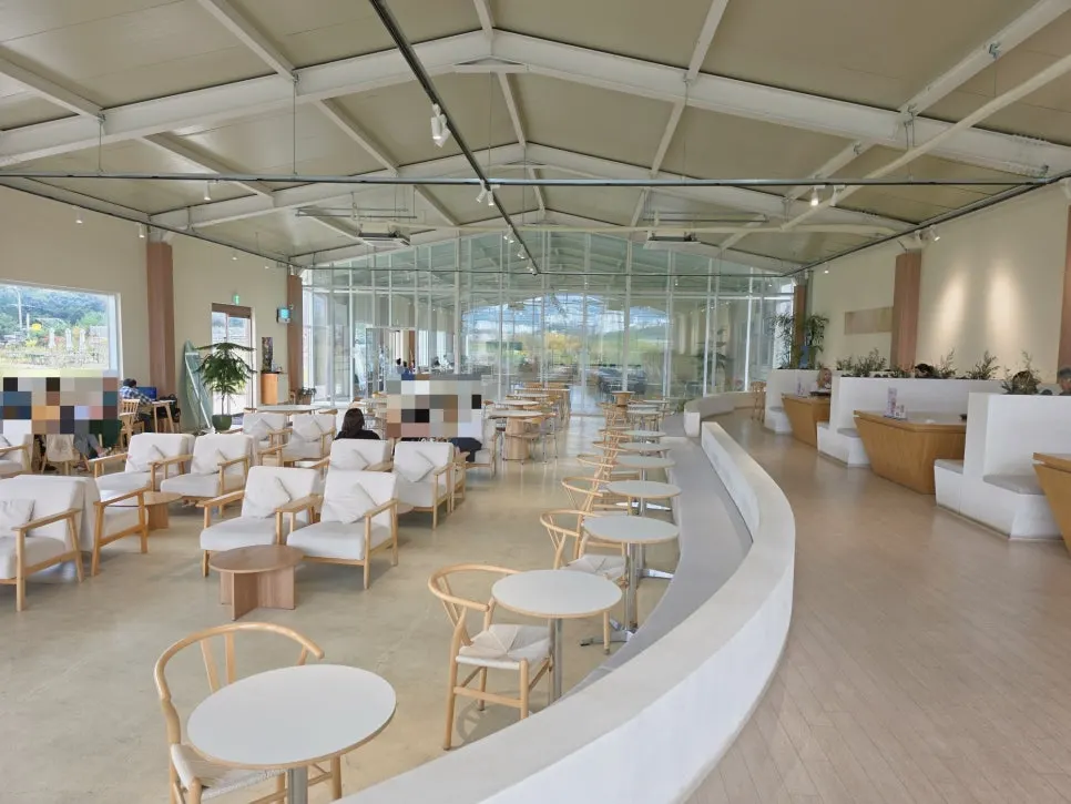 Moonbird seating with lawn plaza visible through glass windows