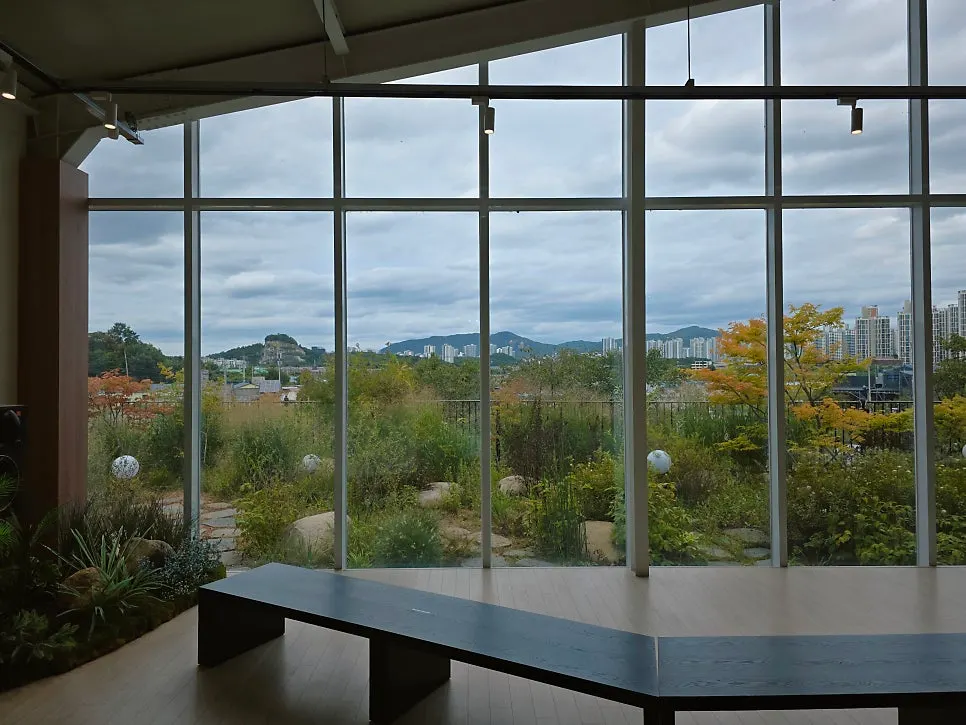 Panoramic window view at Moonbird