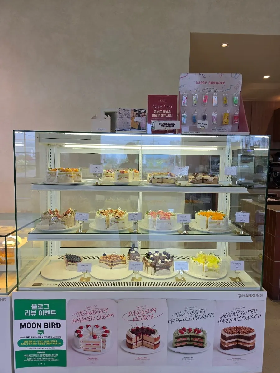 Cake showcase displaying fresh fruit cakes