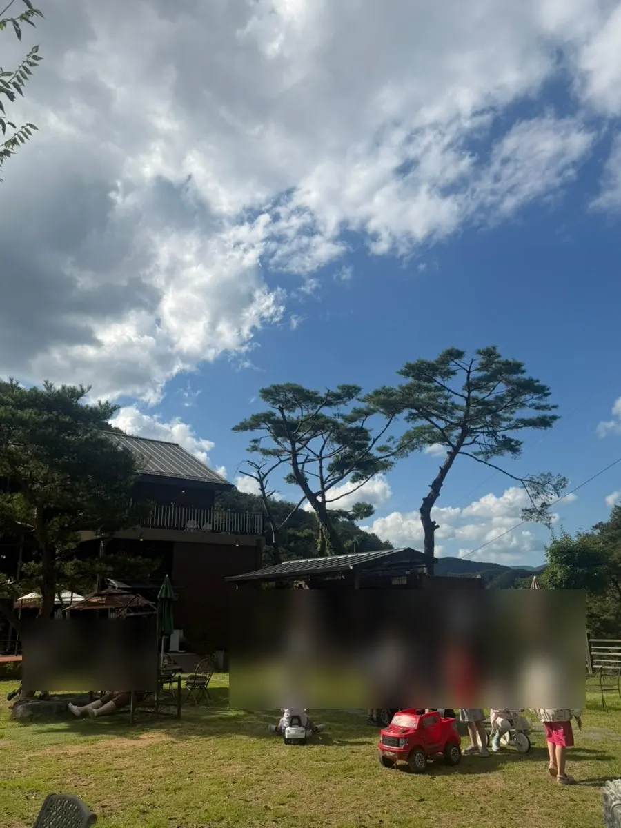 숲과 저수지가 어우러진 도토리골 카페 정원 풍경