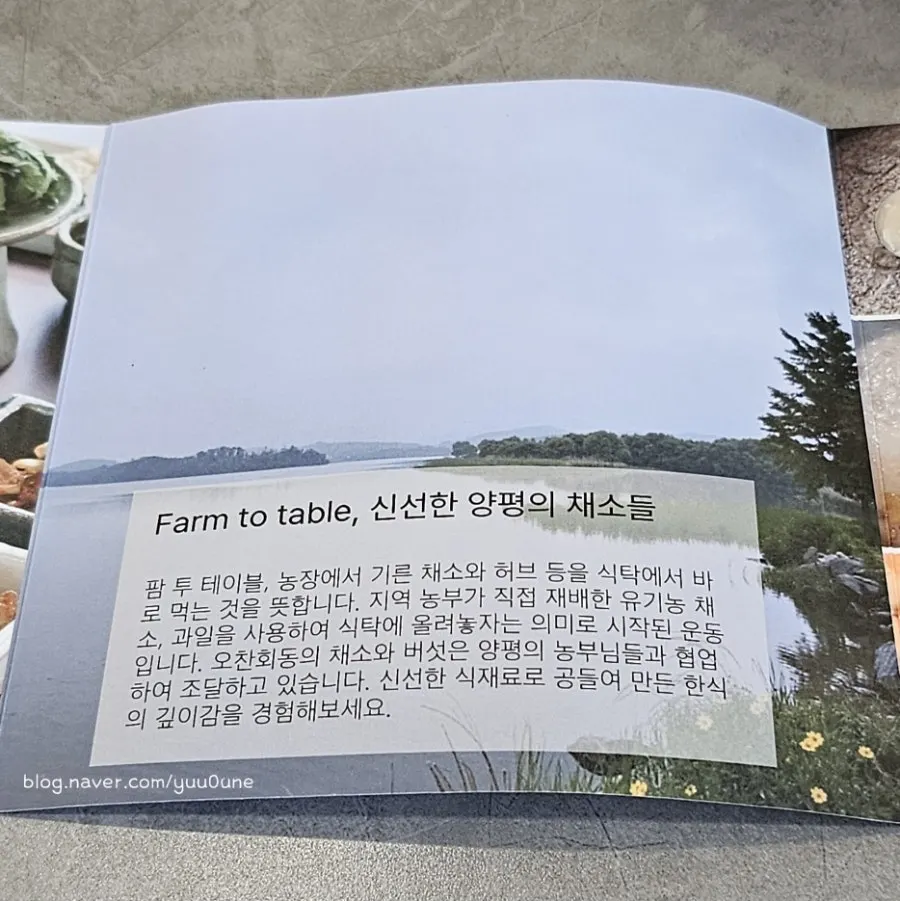 양평 로컬 친환경 농산물 재료