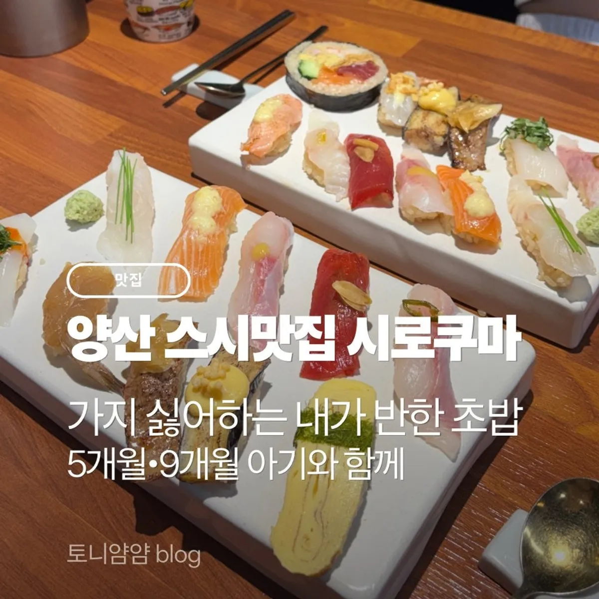 양산 시로쿠마 초밥 대표 이미지