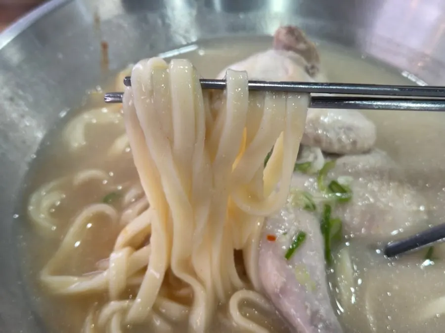 저온숙성 칼국수 면 모습