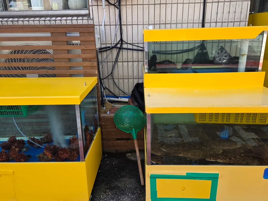 양양바다 주변 식당촌 거리